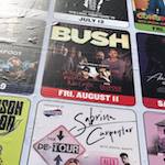 Bush Concert