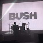 Bush Concert