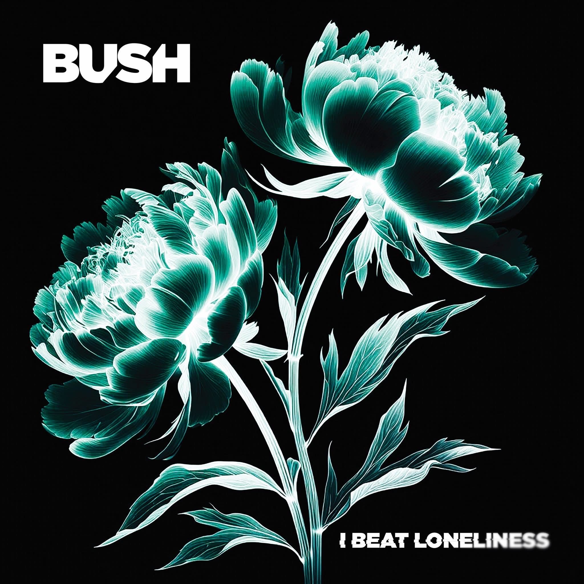 Bush I Beat Loneliness