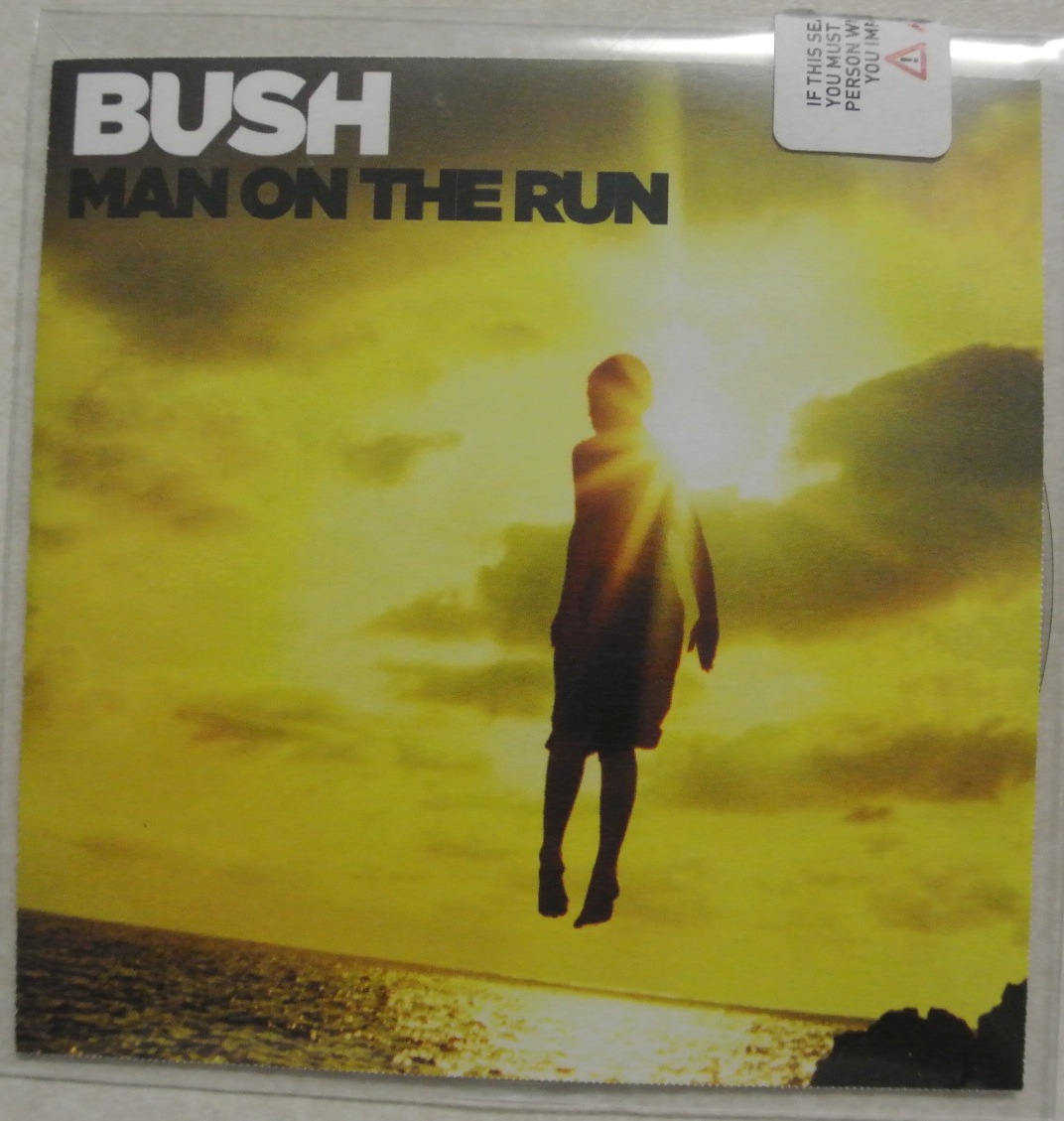 Bush Man On The Run