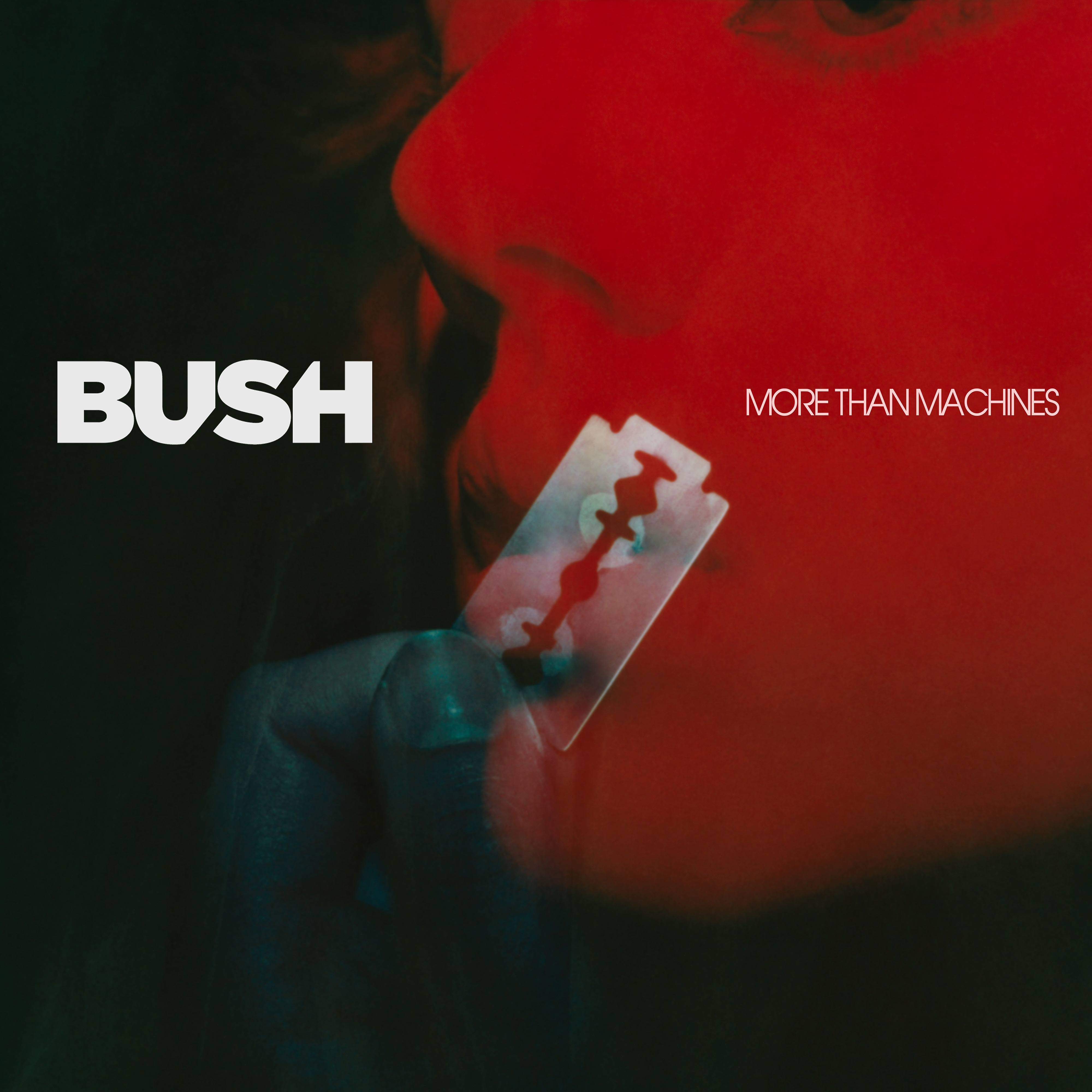 Bush More Than Machines