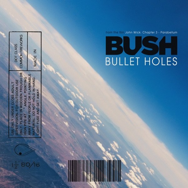 Bush Bullet Holes