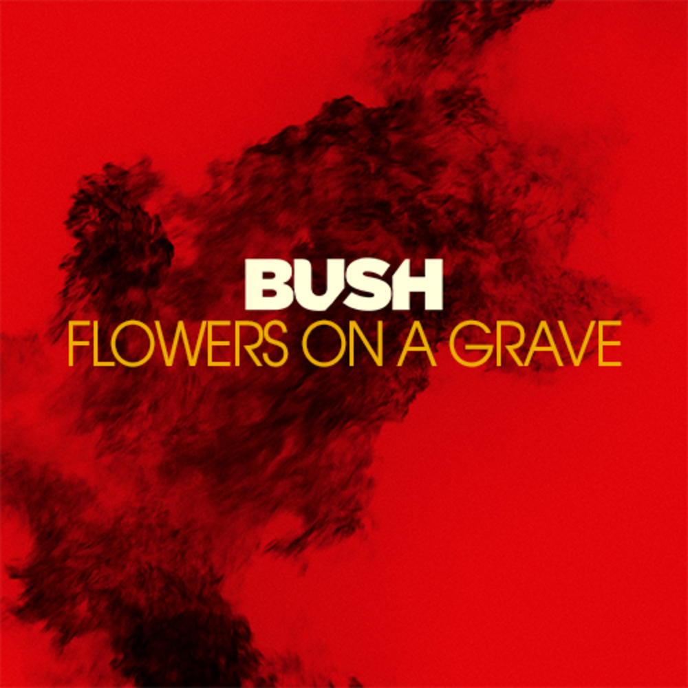 Bush Flowers on a Grave