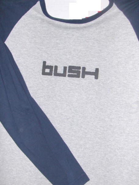 2002 Bush 'Small' Logo Baseball