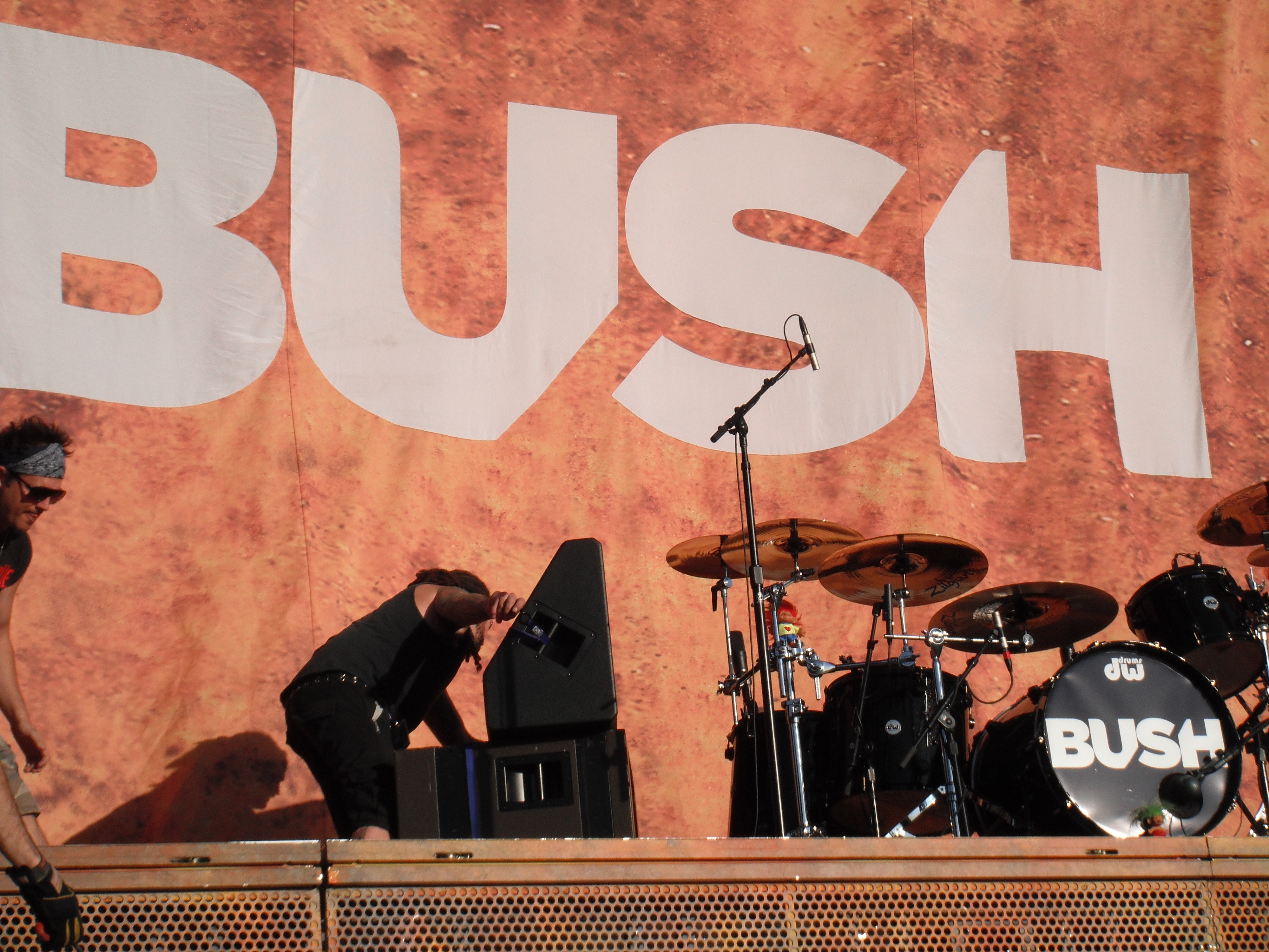 band bush